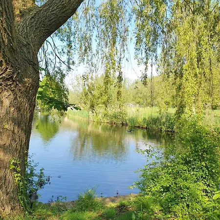 Geniet In Deze Luxe Boerderij Op Een Eiland, Nabij Strand En Stad! Сasa de vacaciones Alkmaar